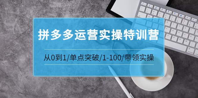 青云:拼多多运营实操特训营：从0到1/单点突破/1-100/带领实操 价值2980元-阿戒项目库