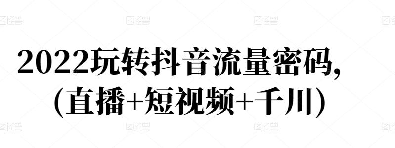 2022玩转抖音流量密码，(直播 短视频 千川)-阿戒项目库