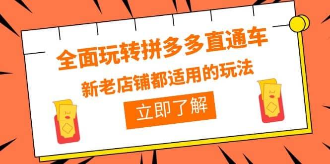 全面玩转拼多多直通车，新老店铺都适用的玩法（12节精华课）-阿戒项目库