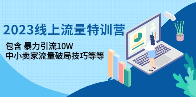 2023线上流量特训营：中小卖家流量破局技巧等等-阿戒项目库