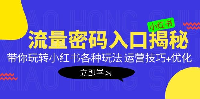 小红书流量密码入口揭秘：带你玩转小红书各种玩法 运营技巧 优化-阿戒项目库