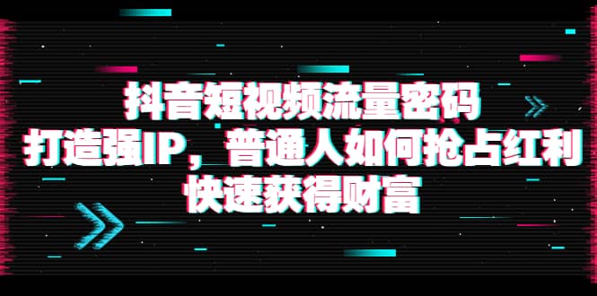 抖音短视频流量密码：打造强IP，普通人如何抢占红利，快速获得财富-阿戒项目库