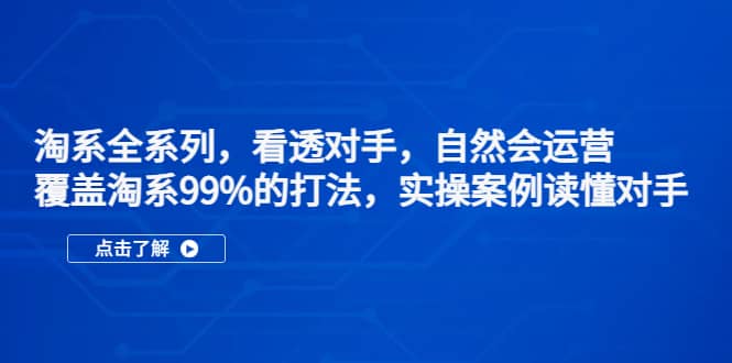 淘系全系列，看透对手，自然会运营，覆盖淘系99%·打法，实操案例读懂对手-阿戒项目库