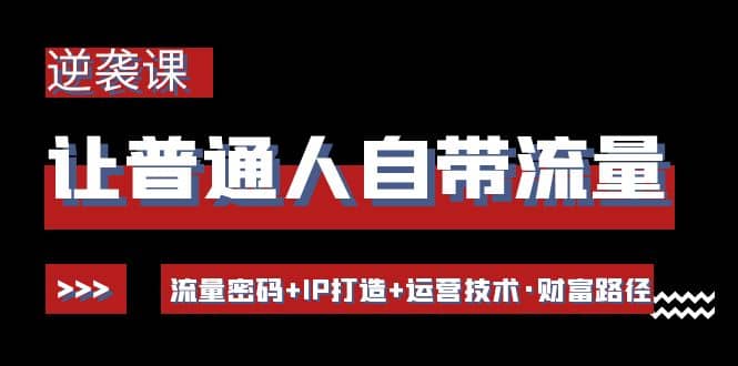 让普通人自带流量的逆袭课：流量密码 IP打造 运营技术·财富路径-阿戒项目库