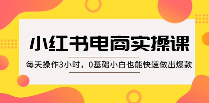 小红书·电商实操课：每天操作3小时，0基础小白也能快速做出爆款-阿戒项目库