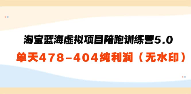 黄岛主：淘宝蓝海虚拟项目陪跑训练营5.0：单天478纯利润（无水印）-阿戒项目库