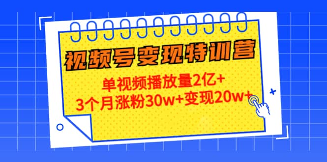 20天视频号变现特训营：单视频播放量2亿-阿戒项目库