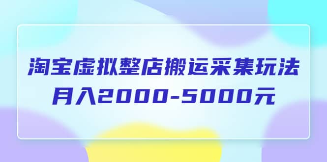 淘宝虚拟整店搬运采集玩法分享课：月入2000-5000元（5节课）-阿戒项目库