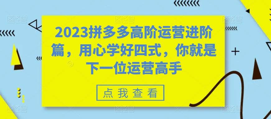 2023拼多多高阶运营进阶篇，用心学好四式，你就是下一位运营高手-阿戒项目库