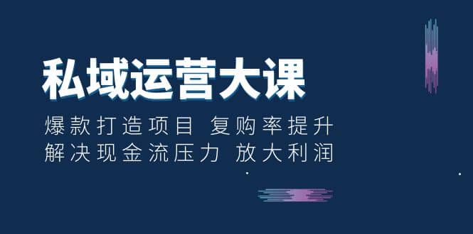 私域运营大课：爆款打造项目 复购率提升 解决现金流压力 放大利润-阿戒项目库