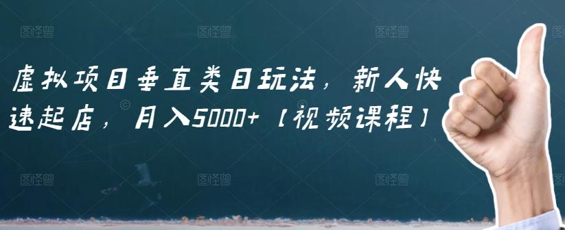 虚拟项目垂直类目玩法，新人快速起店，月入5000 【视频课程】-阿戒项目库