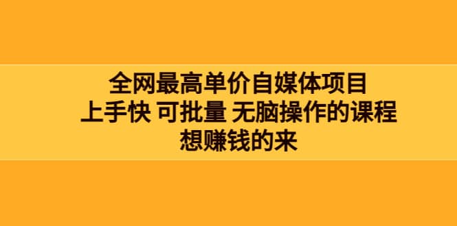 全网最单高价自媒体项目：上手快 可批量 无脑操作的课程，想赚钱的来-阿戒项目库