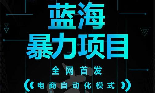 引流哥蓝海暴力躺赚项目：无需发圈无需引流无需售后，每单赚50-500（教程 线报群)-阿戒项目库