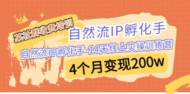 某社群收费培训：自然流IP 孵化手-14天线上实操训练营 4个月变现200w-阿戒项目库