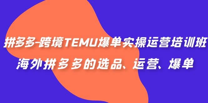 拼多多-跨境TEMU爆单实操运营培训班，海外拼多多的选品、运营、爆单-阿戒项目库