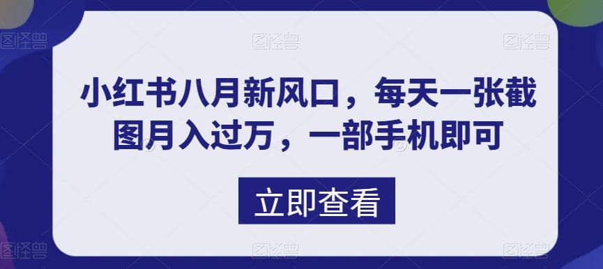 八月新风口，小红书虚拟项目一天收入1000 ，实战揭秘-阿戒项目库