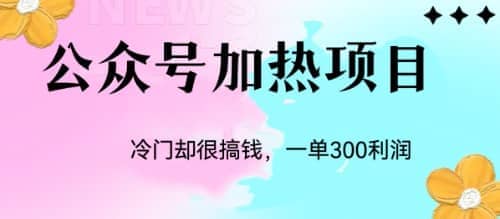 冷门公众号加热项目，一单利润300-阿戒项目库