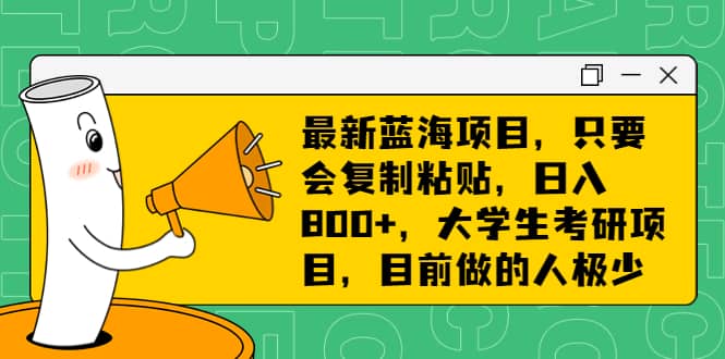 最新蓝海项目，只要会复制粘贴，日入800 ，大学生考研项目，目前做的人极少-阿戒项目库