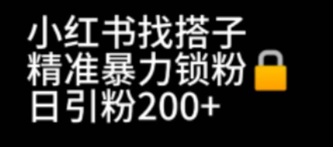 小红书找搭子暴力精准锁粉 引流日引200 精准粉-阿戒项目库