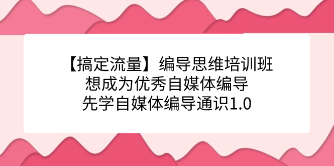 【搞定流量】编导思维培训班，想成为优秀自媒体编导先学自媒体编导通识1.0-阿戒项目库