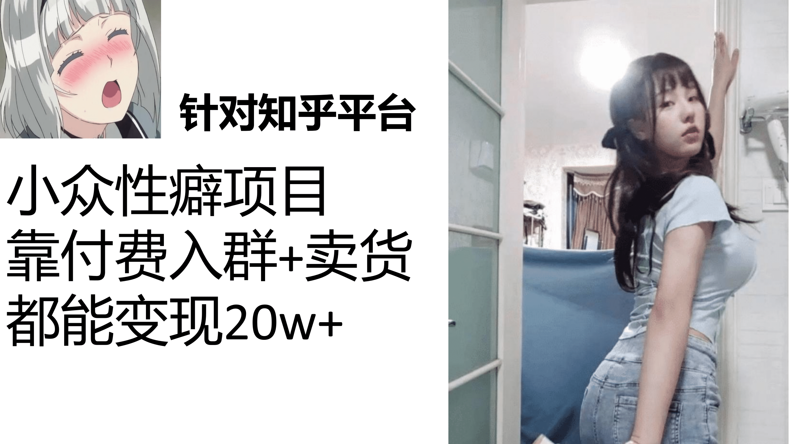 知乎小众性癖项目，Lsp的钱才是最好赚的，付费建群 卖货变现20w-阿戒项目库