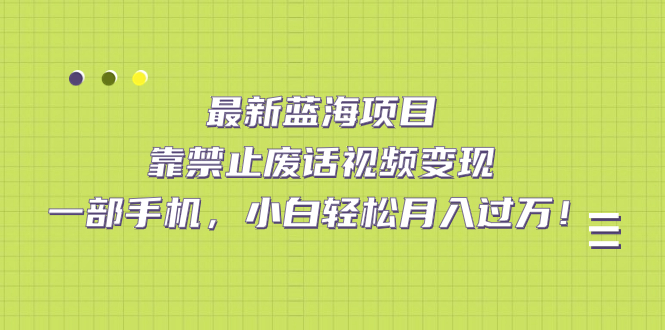 最新蓝海项目，靠禁止废话视频变现，一部手机，小白轻松月入过万！-阿戒项目库