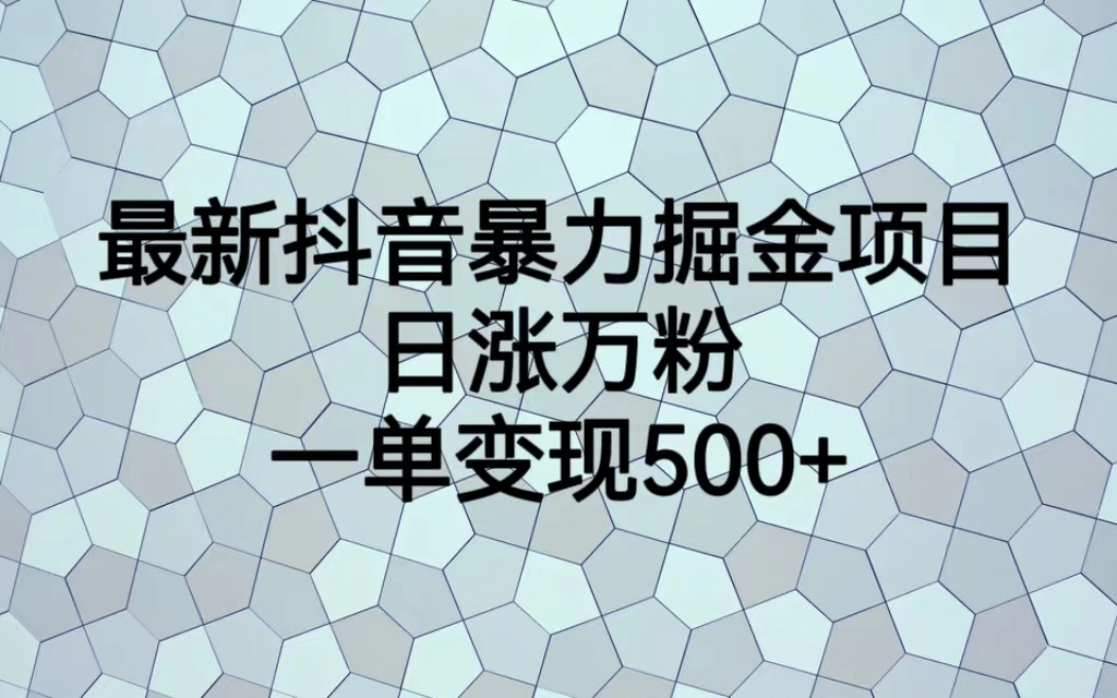 最火热的抖音暴力掘金项目，日涨万粉，多种变现方式，一单变现可达500-阿戒项目库