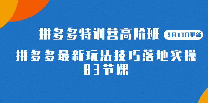 2023拼多多·特训营高阶班【9月13日更新】拼多多最新玩法技巧落地实操-83节-阿戒项目库