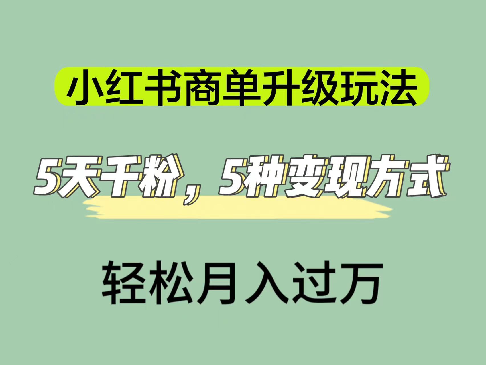 小红书商单升级玩法，5天千粉，5种变现渠道，轻松月入1万-阿戒项目库