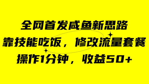 咸鱼冷门新玩法，靠“技能吃饭”，修改流量套餐，操作1分钟，收益50-阿戒项目库