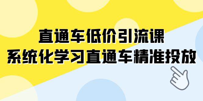 直通车-低价引流课，系统化学习直通车精准投放（14节课）-阿戒项目库