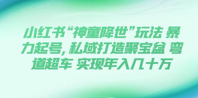 小红书“神童降世”玩法 暴力起号,私域打造聚宝盆 弯道超车 实现年入几十万-阿戒项目库