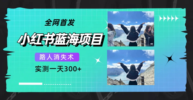 全网首发，小红书蓝海项目，路人消失术，实测一天300 （教程 工具）-阿戒项目库