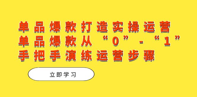 单品爆款打造实操运营，单品爆款从“0”-“1”手把手演练运营步骤-阿戒项目库