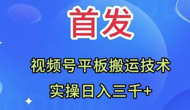 全网首发：视频号平板搬运技术，实操日入三千＋-阿戒项目库