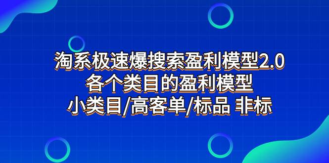 淘系极速爆搜索盈利模型2.0，各个类目的盈利模型，小类目/高客单/标品 非标-阿戒项目库