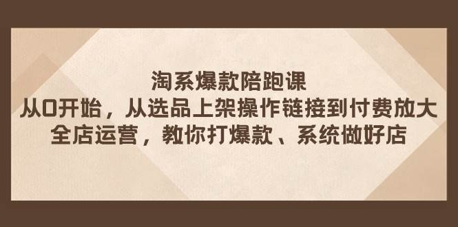 淘系爆款陪跑课 从选品上架操作链接到付费放大 全店运营 打爆款 系统做好店-阿戒项目库