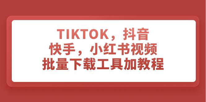 TIKTOK，抖音，快手，小红书视频批量下载工具加教程-阿戒项目库