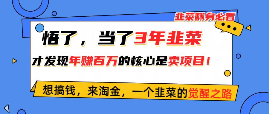 悟了，当了3年韭菜，才发现网赚圈年赚100万的核心是卖项目，含泪分享！-阿戒项目库