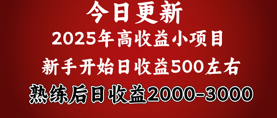 好项目一眼就能看出来，日收益1000，长久可做，2025拼的就是我比你勤奋-阿戒项目库