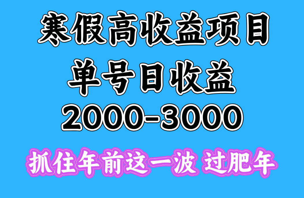 寒假期间一天收益2000-3000+，抓住年前这一波-阿戒项目库