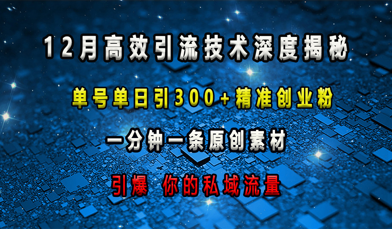 12月高效引流技术深度揭秘 ，单号单日引300+精准创业粉，一分钟一条原创素材，引爆你的私域流量-阿戒项目库