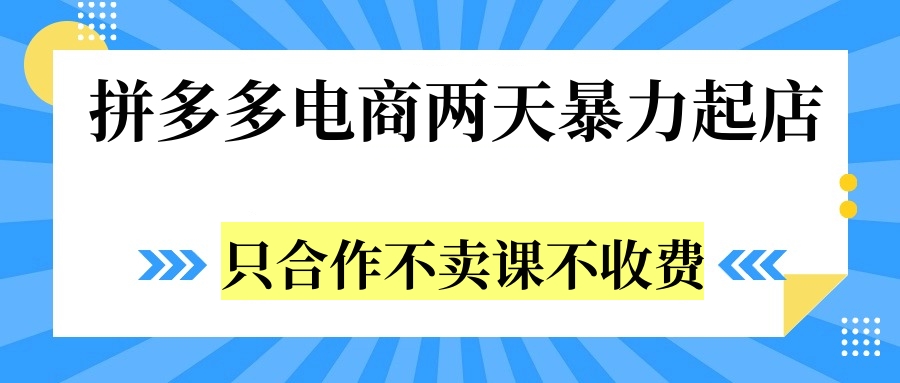 拼多多两天暴力起店，只合作不卖课不收费-阿戒项目库