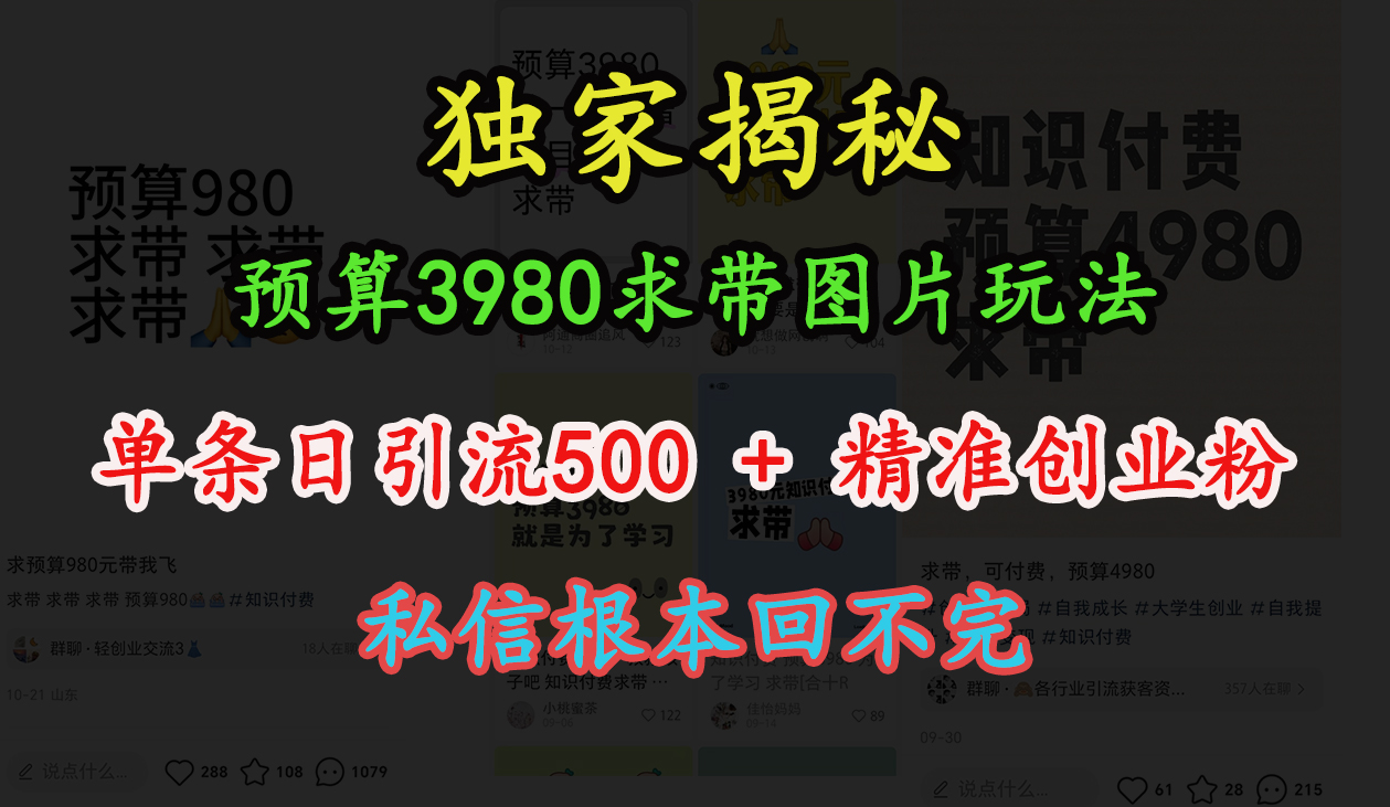 “小红书”预算3980求带 图片玩法，单条日引流500+精准创业粉，私信根本回不完-阿戒项目库