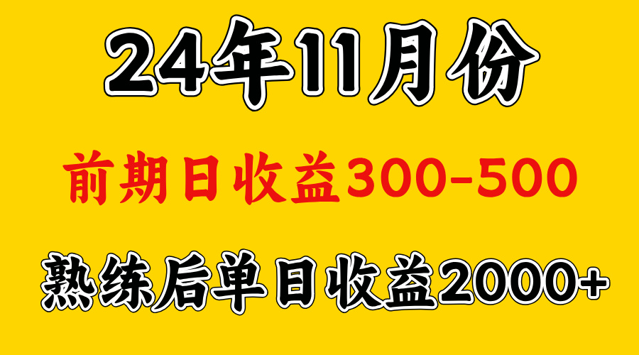 轻资产项目，前期日收益500左右，后期日收益1500-2000左右，多劳多得-阿戒项目库