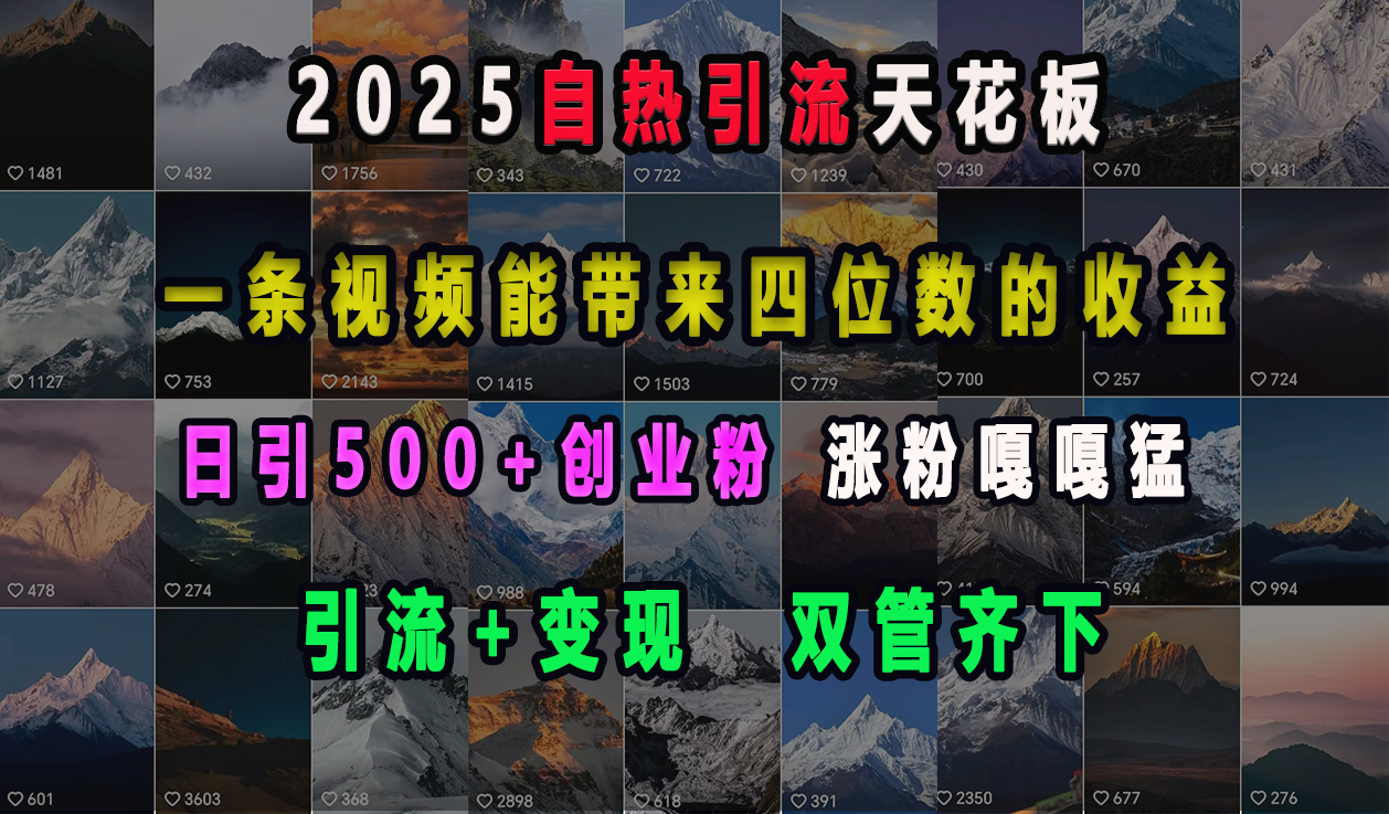 2025自热引流天花板，一条视频能带来四位数的收益，引流+变现双管齐下，日引500+创业粉，涨粉嘎嘎猛-阿戒项目库