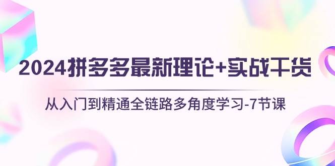 2024拼多多 最新理论+实战干货，从入门到精通全链路多角度学习-7节课-阿戒项目库