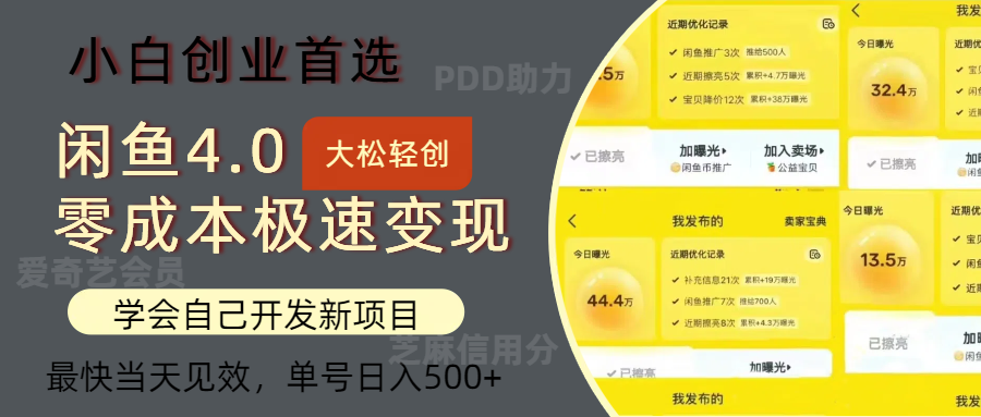 闲鱼0成本极速变现项目，多种变现方式，单号日入500+最新玩法-阿戒项目库