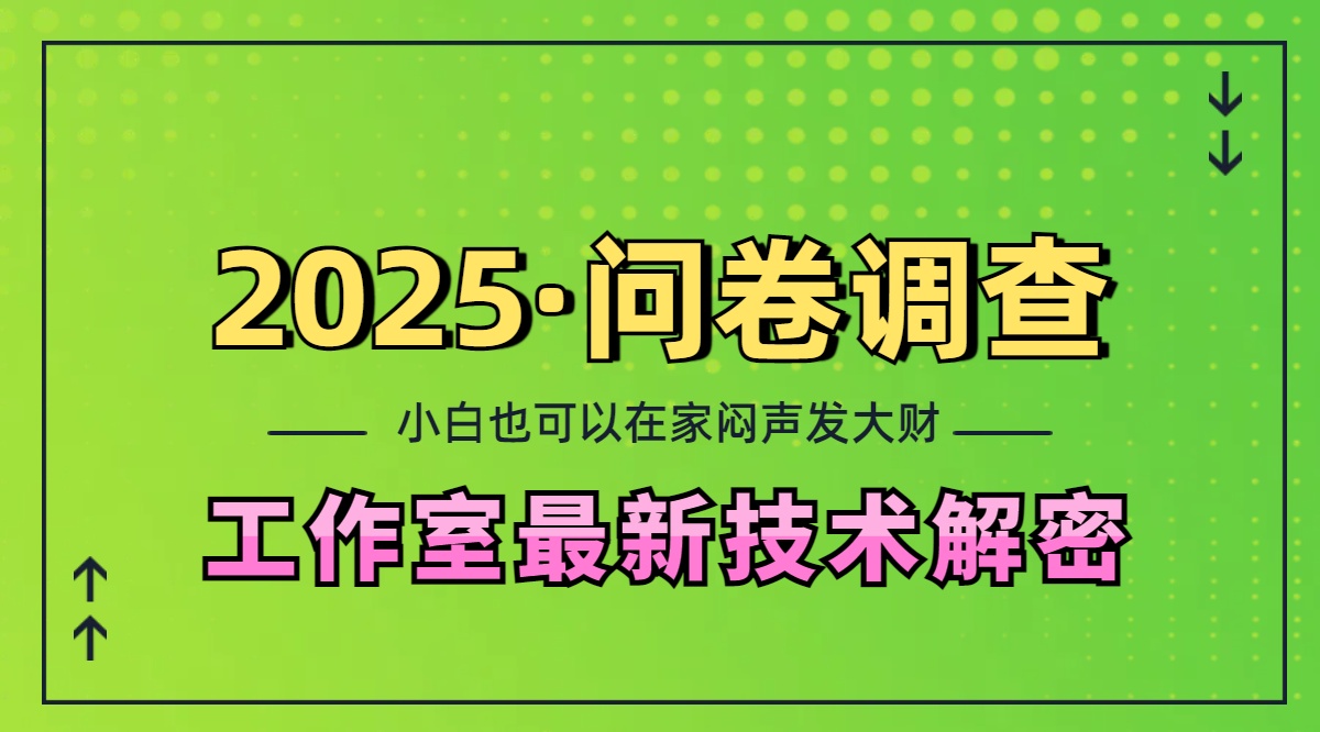 2025《问卷调查》最新工作室技术解密：一个人在家也可以闷声发大财，小白一天200+，可矩阵放大-阿戒项目库