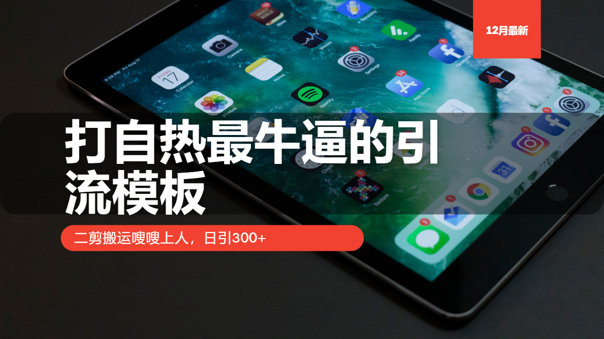 打自热最牛逼的引流模板，日引300+，二剪搬运嗖嗖上人-阿戒项目库